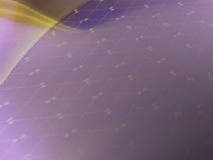 实例分割的标准化与个性化平衡
